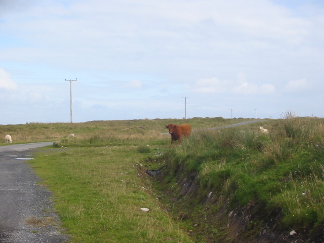 islay 027